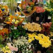 ヒメ日記 2025/04/26 22:20 投稿 五十嵐 ANECOTE