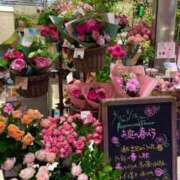 ヒメ日記 2025/04/27 21:10 投稿 五十嵐 ANECOTE