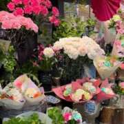 ヒメ日記 2025/05/01 13:09 投稿 五十嵐 ANECOTE