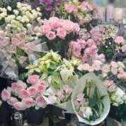 ヒメ日記 2025/05/03 22:21 投稿 五十嵐 ANECOTE