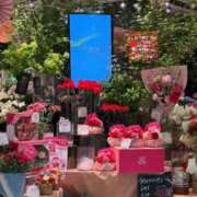 ヒメ日記 2025/05/04 21:53 投稿 五十嵐 ANECOTE