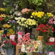 ヒメ日記 2025/05/06 08:14 投稿 五十嵐 ANECOTE