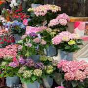 ヒメ日記 2025/05/12 21:55 投稿 五十嵐 ANECOTE