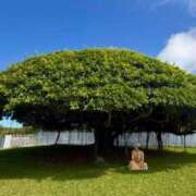 ヒメ日記 2025/05/20 18:16 投稿 五十嵐 ANECOTE