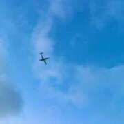 ヒメ日記 2025/05/26 08:26 投稿 五十嵐 ANECOTE