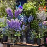 ヒメ日記 2025/05/26 21:27 投稿 五十嵐 ANECOTE