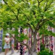 ヒメ日記 2025/06/02 19:06 投稿 五十嵐 ANECOTE