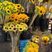 ヒメ日記 2025/06/08 21:32 投稿 五十嵐 ANECOTE