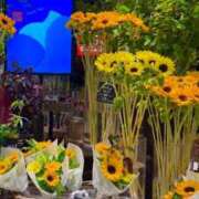 ヒメ日記 2025/06/13 22:50 投稿 五十嵐 ANECOTE