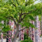 ヒメ日記 2025/06/16 22:12 投稿 五十嵐 ANECOTE