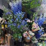 ヒメ日記 2025/06/21 22:32 投稿 五十嵐 ANECOTE