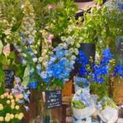 ヒメ日記 2025/07/01 08:04 投稿 五十嵐 ANECOTE