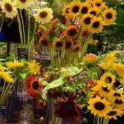 ヒメ日記 2025/07/11 22:22 投稿 五十嵐 ANECOTE