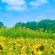 ヒメ日記 2025/07/16 07:57 投稿 五十嵐 ANECOTE