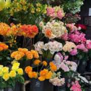 ヒメ日記 2025/07/17 21:34 投稿 五十嵐 ANECOTE