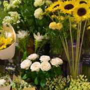 ヒメ日記 2025/07/19 20:59 投稿 五十嵐 ANECOTE