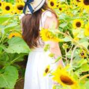 ヒメ日記 2025/07/30 22:42 投稿 五十嵐 ANECOTE