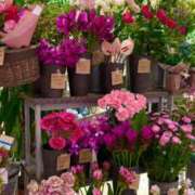 ヒメ日記 2025/08/03 07:45 投稿 五十嵐 ANECOTE