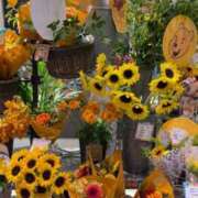 ヒメ日記 2025/08/04 23:18 投稿 五十嵐 ANECOTE