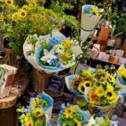 ヒメ日記 2025/08/07 08:14 投稿 五十嵐 ANECOTE