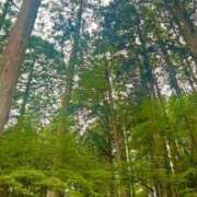 ヒメ日記 2025/08/28 19:45 投稿 五十嵐 ANECOTE