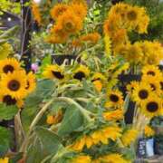 ヒメ日記 2025/09/01 23:48 投稿 五十嵐 ANECOTE