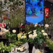 ヒメ日記 2025/09/11 23:09 投稿 五十嵐 ANECOTE