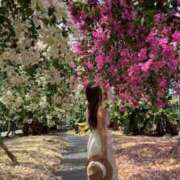 ヒメ日記 2025/09/26 23:35 投稿 五十嵐 ANECOTE