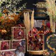 ヒメ日記 2025/09/28 21:59 投稿 五十嵐 ANECOTE