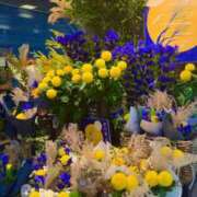 ヒメ日記 2025/10/09 08:01 投稿 五十嵐 ANECOTE