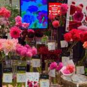 ヒメ日記 2025/10/10 22:43 投稿 五十嵐 ANECOTE