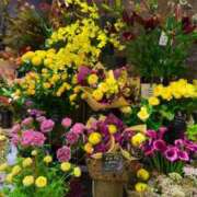 ヒメ日記 2025/10/14 16:28 投稿 五十嵐 ANECOTE