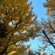 ヒメ日記 2025/10/16 22:54 投稿 五十嵐 ANECOTE