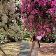 ヒメ日記 2025/10/19 07:03 投稿 五十嵐 ANECOTE