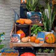 ヒメ日記 2025/10/21 21:49 投稿 五十嵐 ANECOTE