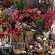 ヒメ日記 2025/10/25 21:37 投稿 五十嵐 ANECOTE