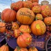 ヒメ日記 2025/10/26 22:16 投稿 五十嵐 ANECOTE