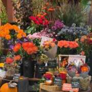 ヒメ日記 2025/10/31 06:59 投稿 五十嵐 ANECOTE