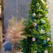 ヒメ日記 2025/11/13 16:38 投稿 五十嵐 ANECOTE