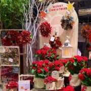 ヒメ日記 2025/11/15 20:55 投稿 五十嵐 ANECOTE