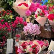 ヒメ日記 2025/11/22 07:36 投稿 五十嵐 ANECOTE