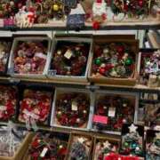 ヒメ日記 2025/11/24 07:05 投稿 五十嵐 ANECOTE