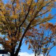 ヒメ日記 2025/11/30 21:32 投稿 五十嵐 ANECOTE