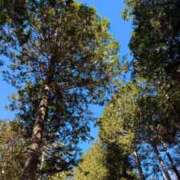 ヒメ日記 2025/12/04 18:09 投稿 五十嵐 ANECOTE