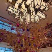 ヒメ日記 2025/12/20 12:30 投稿 五十嵐 ANECOTE