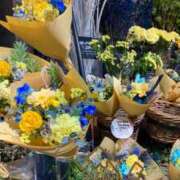 ヒメ日記 2025/12/23 21:35 投稿 五十嵐 ANECOTE