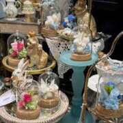 ヒメ日記 2025/12/26 22:54 投稿 五十嵐 ANECOTE