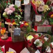 ヒメ日記 2025/12/30 23:06 投稿 五十嵐 ANECOTE