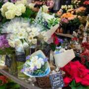 ヒメ日記 2025/12/31 23:06 投稿 五十嵐 ANECOTE