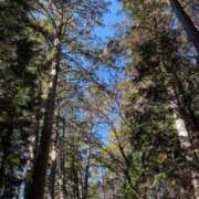 ヒメ日記 2026/01/01 23:00 投稿 五十嵐 ANECOTE